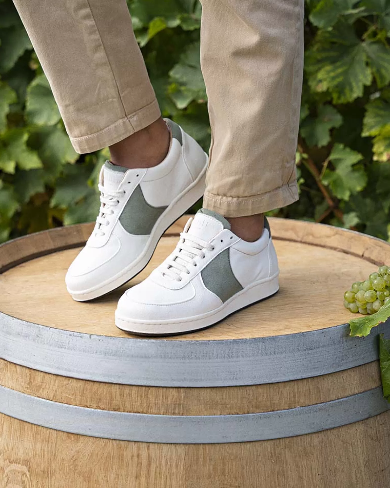 Minuit sur Terre Cépage Chardonnay Online