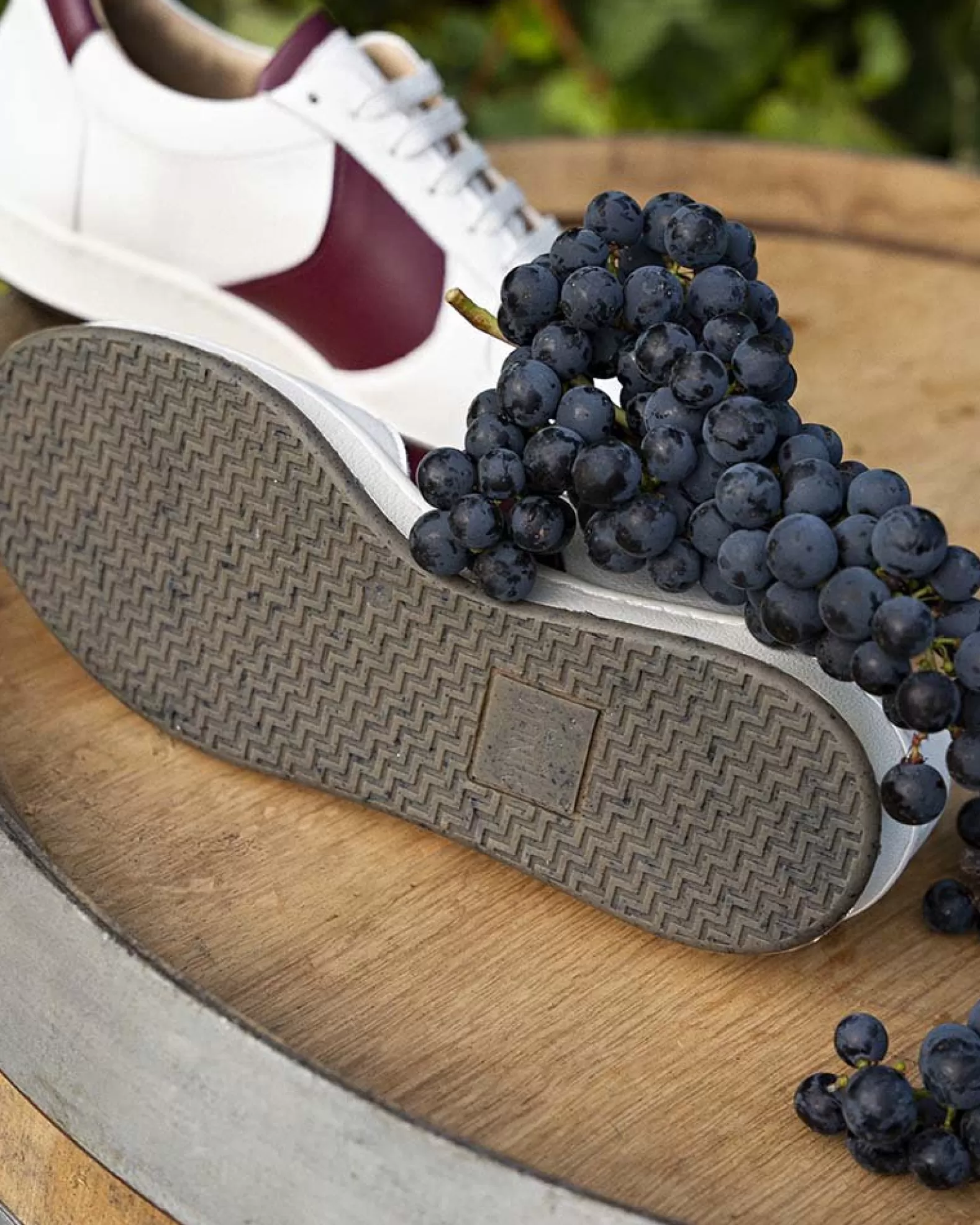 Minuit sur Terre Cépage Merlot Sale