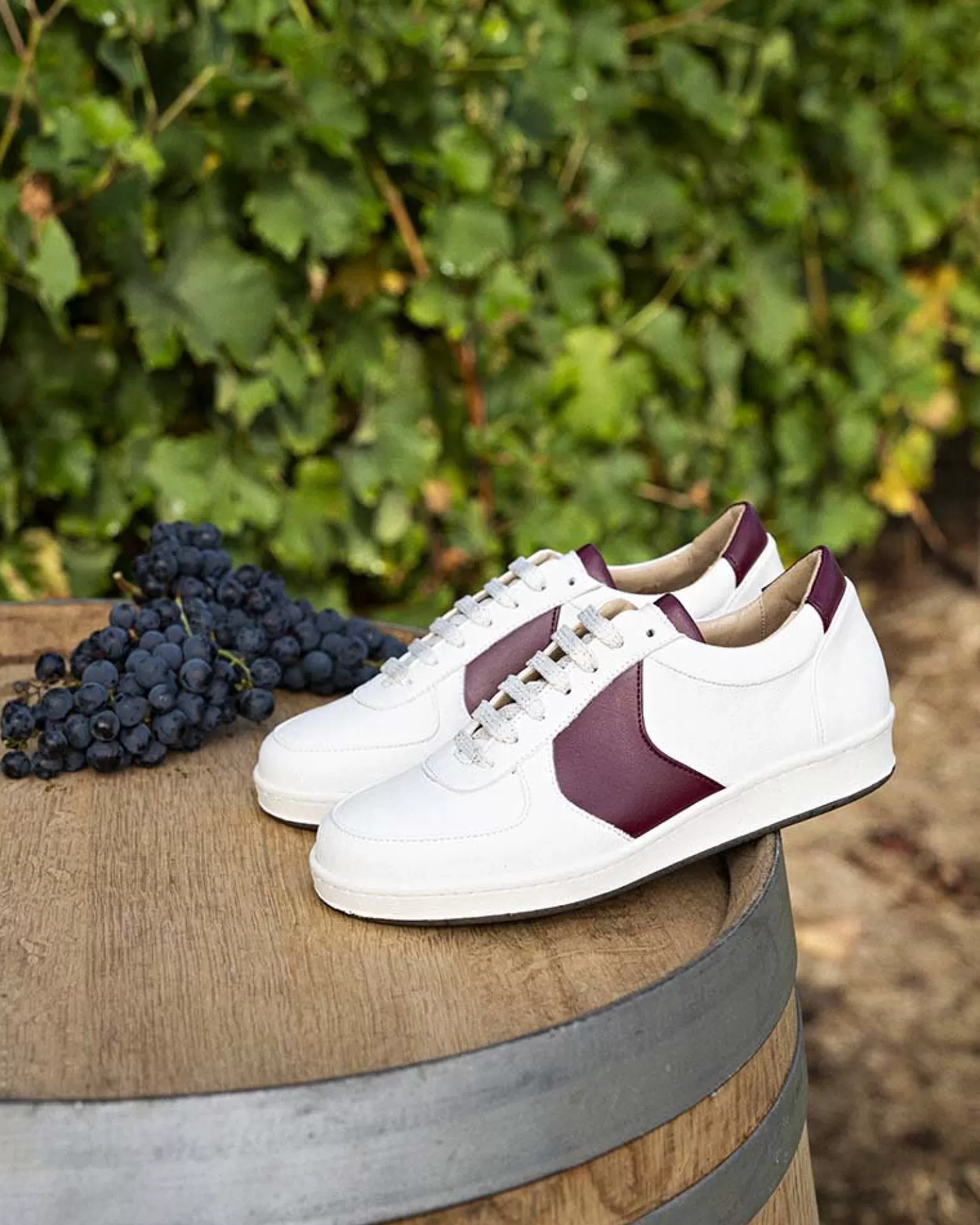 Minuit sur Terre Cépage Merlot Sale